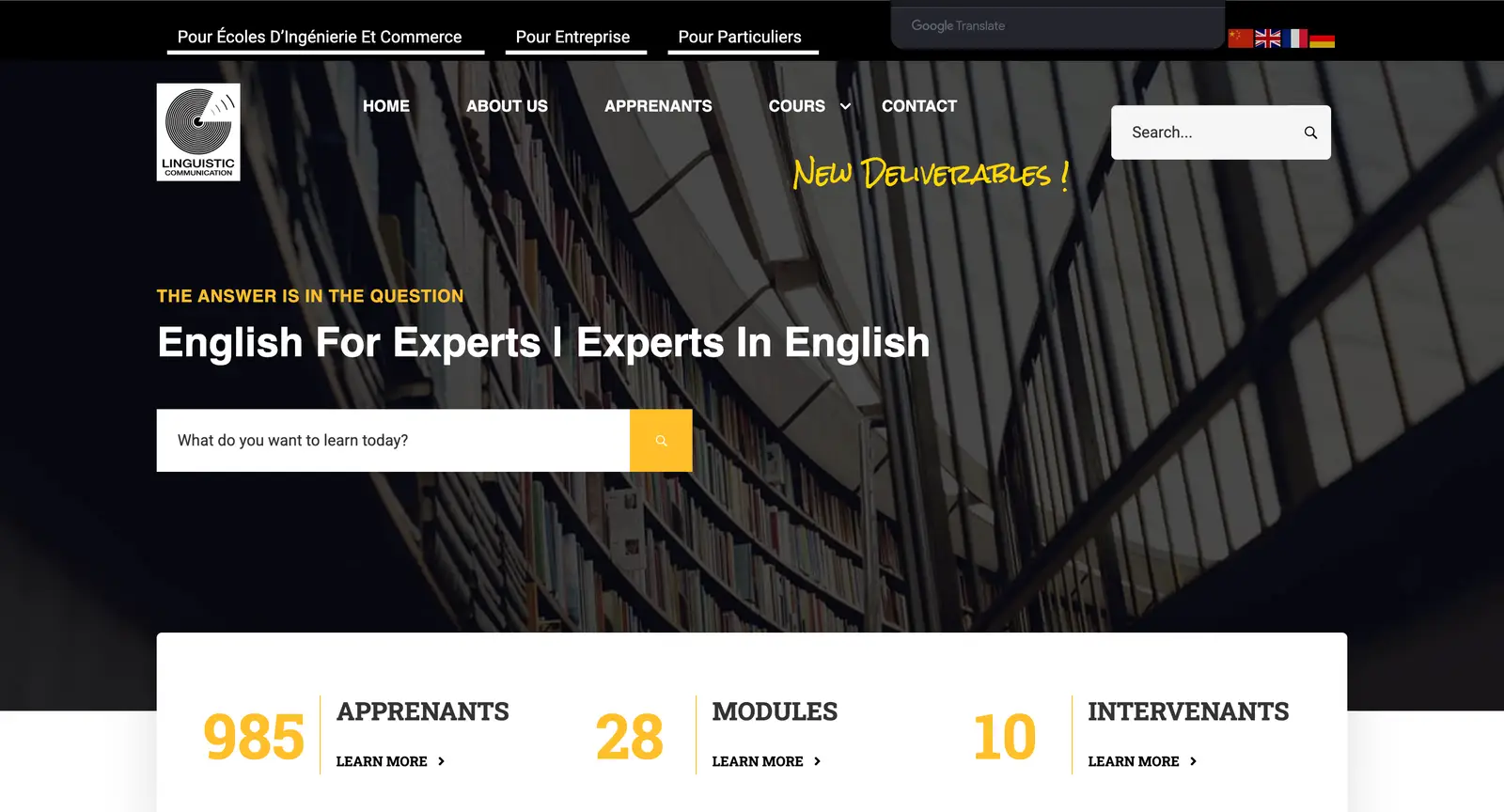 Linguistic Communication